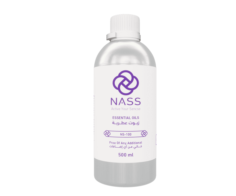 NS-100 - ناس سنت
